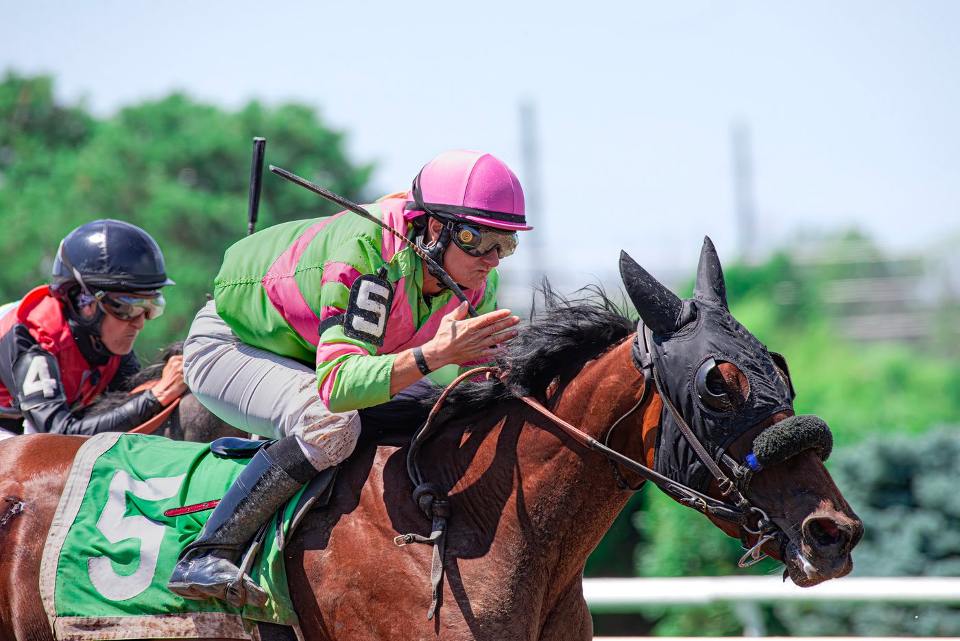 Racehorses at full speed